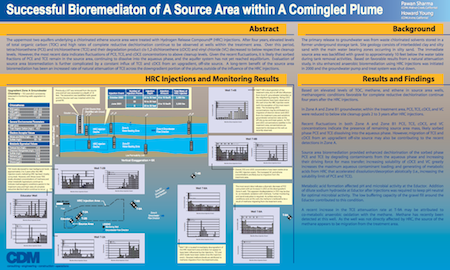 Successful_Bioremediation_of_a_Source_Area_within_a_Comingled_Plume_thumbnail