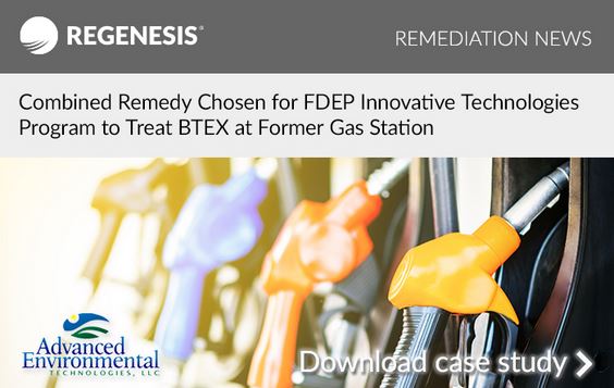 Combined Remedy Chosen for FDEP Innovative Technologies Program to Treat BTEX at Former Gas Station