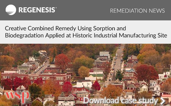 Creative Combined Remedy Using Sorption and Biodegradation Applied at Historic Industrial Manufacturing Site
