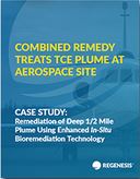 Combined Remedy Treats TCE Plume at Aerospace Site