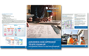 Business case for remediation