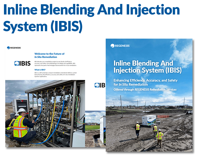 eBook on in-situ remediation