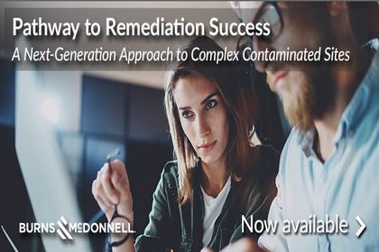 Pathway to Remediation Success