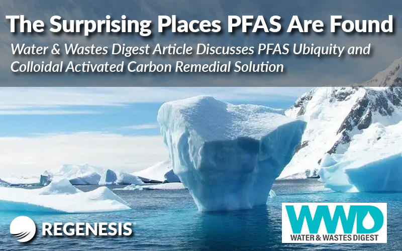 PFAS article