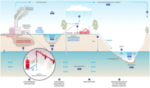 PFAS migration pathway
