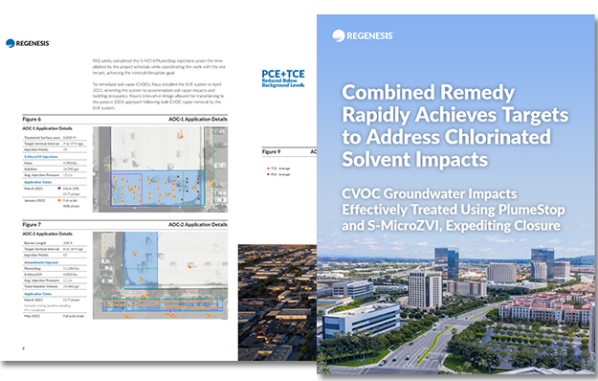 remediation case study