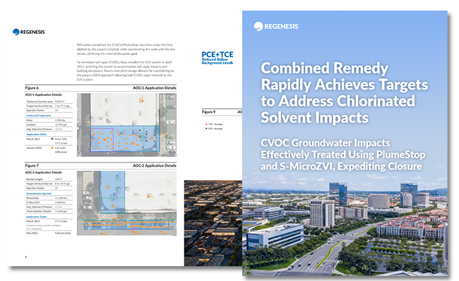 remediation case study