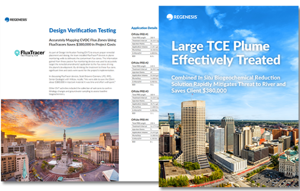 TCE remediation case study