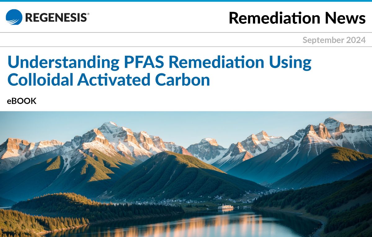 PFAS Remediation Using Colloidal Activated Carbon