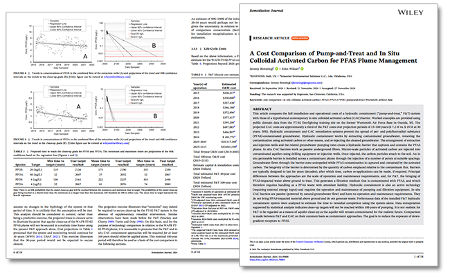 Remediation Journal article