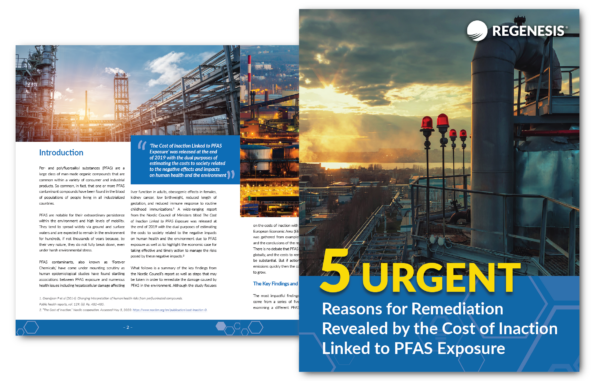 PFAS remediation / Cover of the eBook 5 Urgent Reasons for Remediation Revealed by the Cost of Inaction Linked to PFAS Exposure