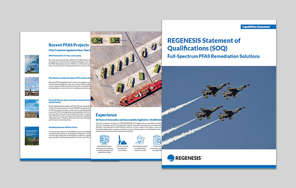 Cover of Department of Defense remediation project publication