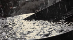Read more about the article PFAS are everywhere. Now what?