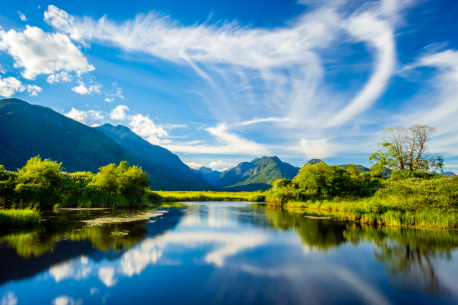 Read more about the article 7 reasons to choose in situ PFAS remediation