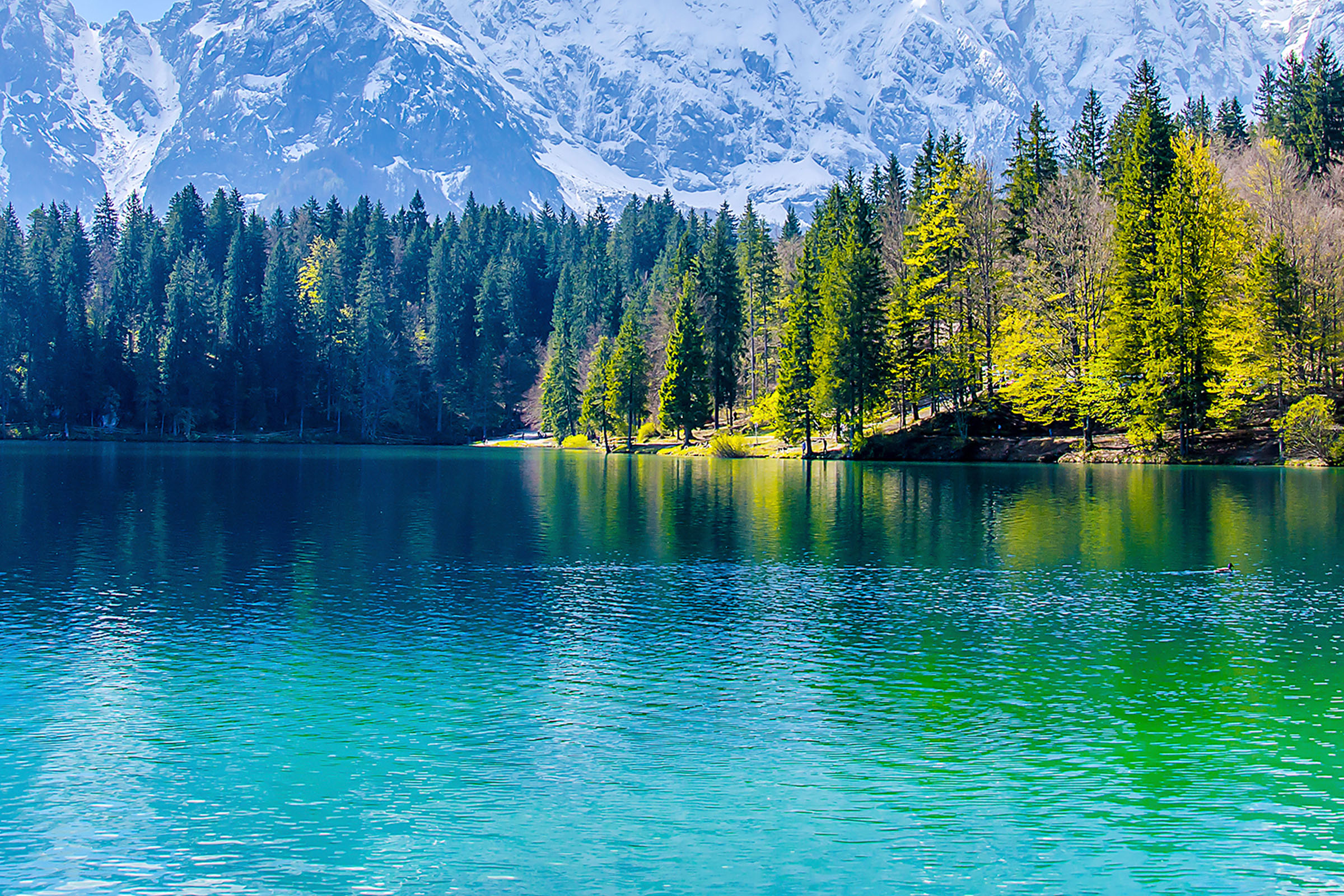 Read more about the article PFAS treatment using colloidal activated carbon technology FAQ