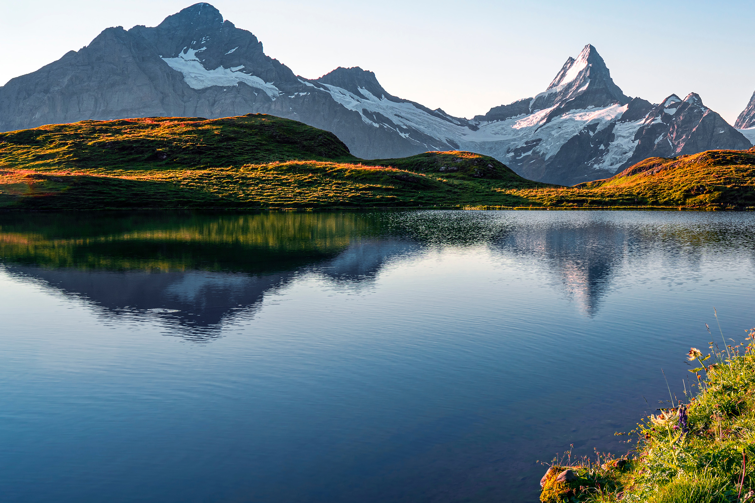 Read more about the article Understanding PFAS remediation using colloidal activated carbon