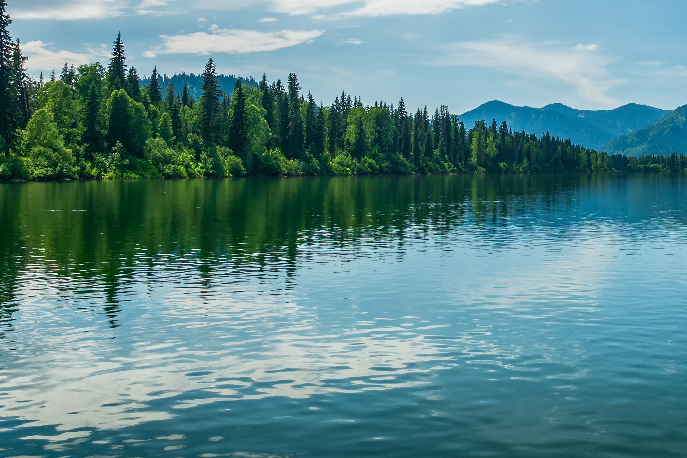 Read more about the article In situ PFAS remediation: a low-cost approach to avoiding long-term risk and liability