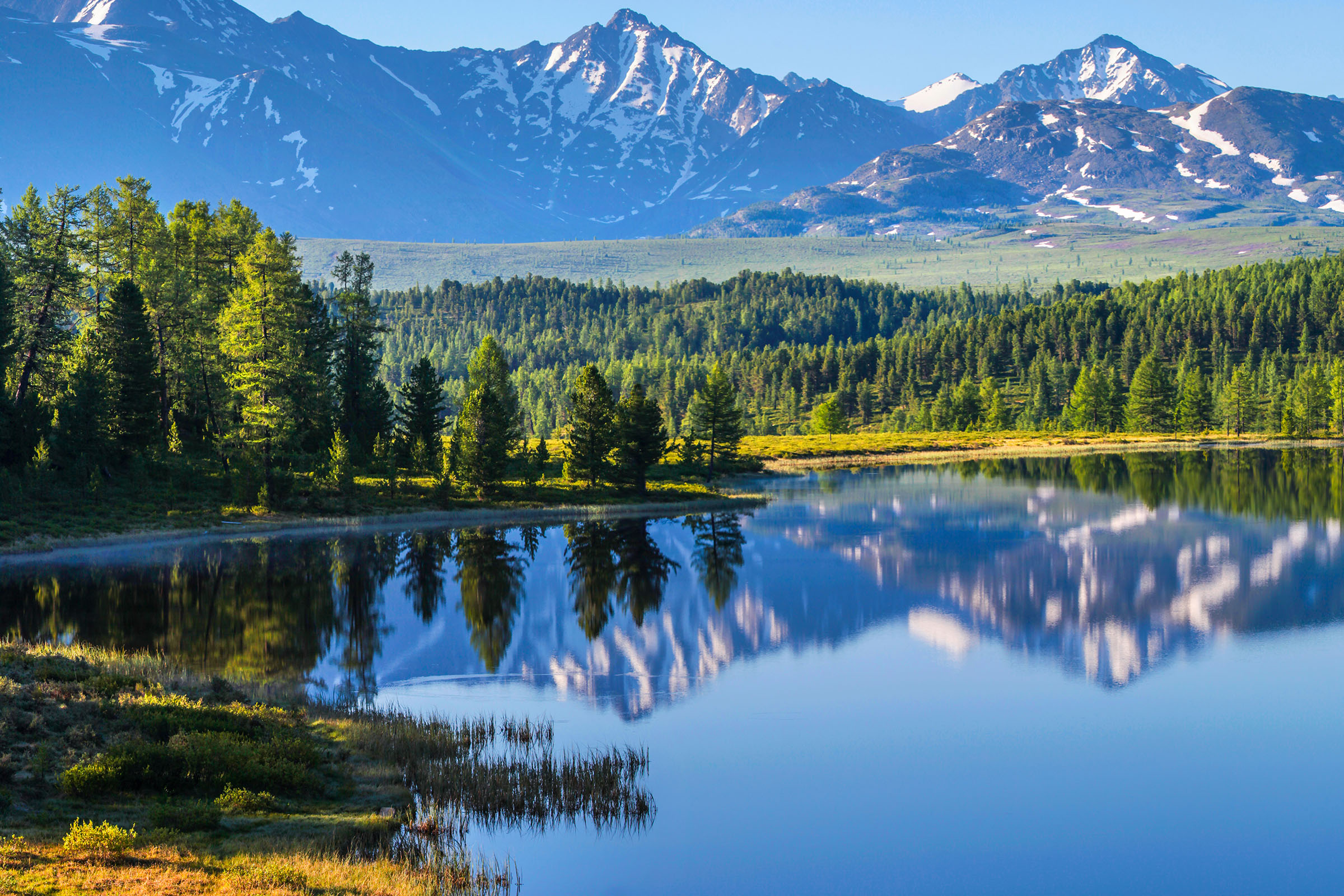 mountain range, trees, and forest wilderness reflecting on a calm lake