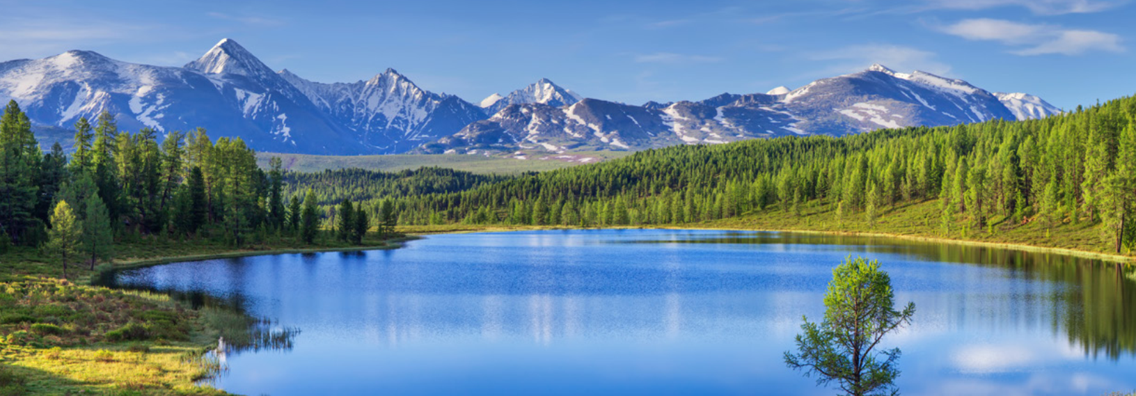 Read more about the article Monitored natural attenuation to manage PFAS impacts to groundwater: potential guidelines