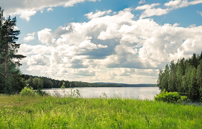 Read more about the article PFAS contamination: rising costs for insurers amid a regulatory tsunami