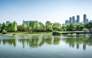 Read more about the article Water utilities tackle PFAS remediation