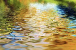 Read more about the article New NPDES monitoring requirements drive preemptive PFAS solutions