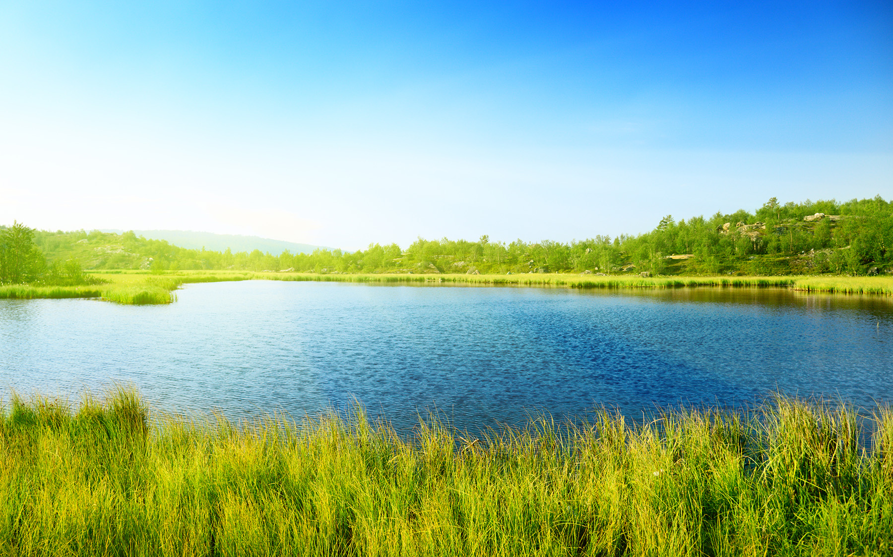 Read more about the article Eliminating risk of PFAS contamination: Low-cost in-situ remediation with colloidal activated carbon