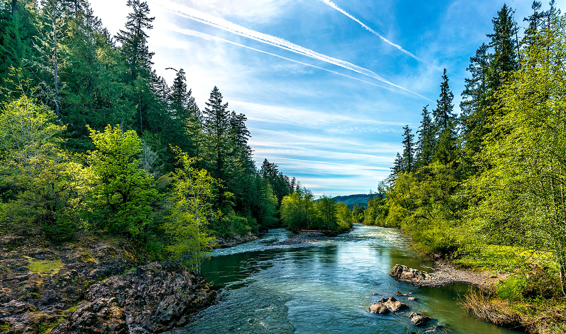 Read more about the article PFAS regulations over space and time