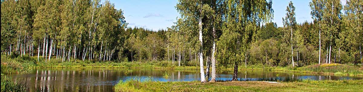 Read more about the article In-situ chlorinated solvent treatment protects municipal drinking water