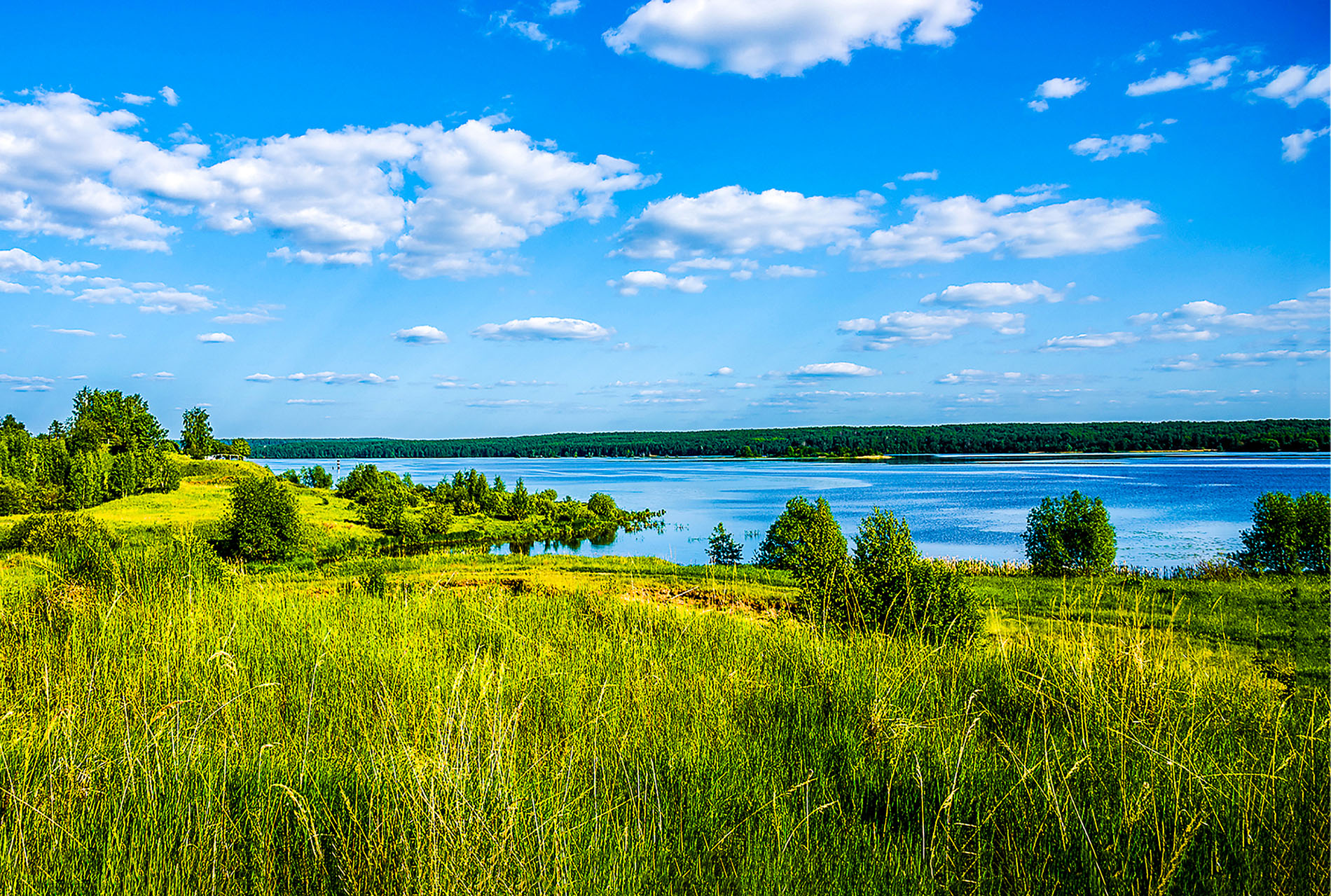 Read more about the article Stormwater and wastewater PFAS regulations and how industry is responding