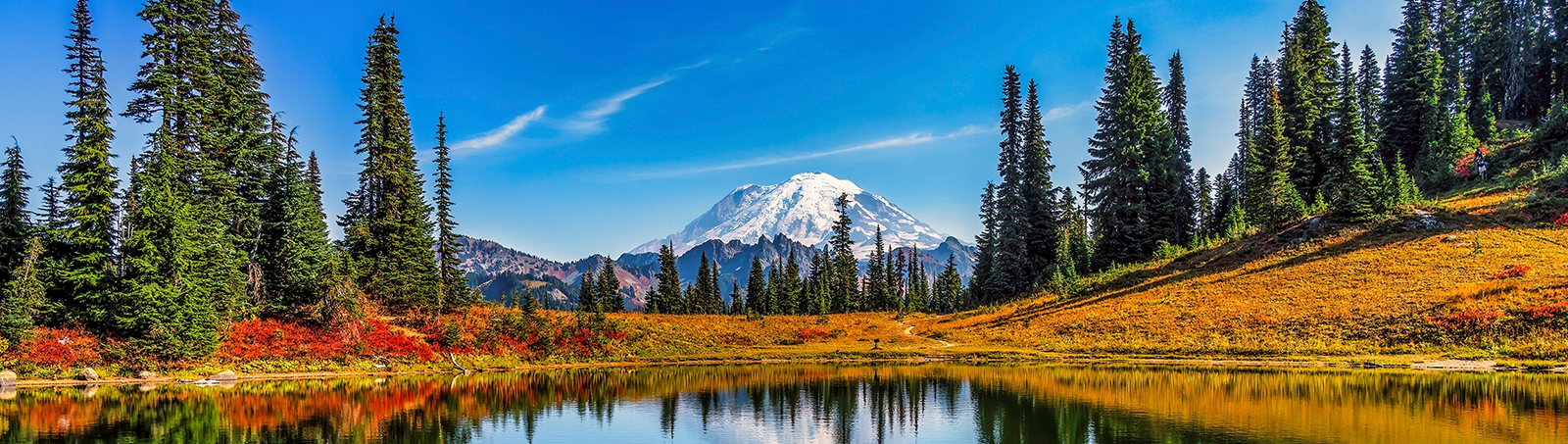 Read more about the article Prioritizing actions to address exposure to PFAS