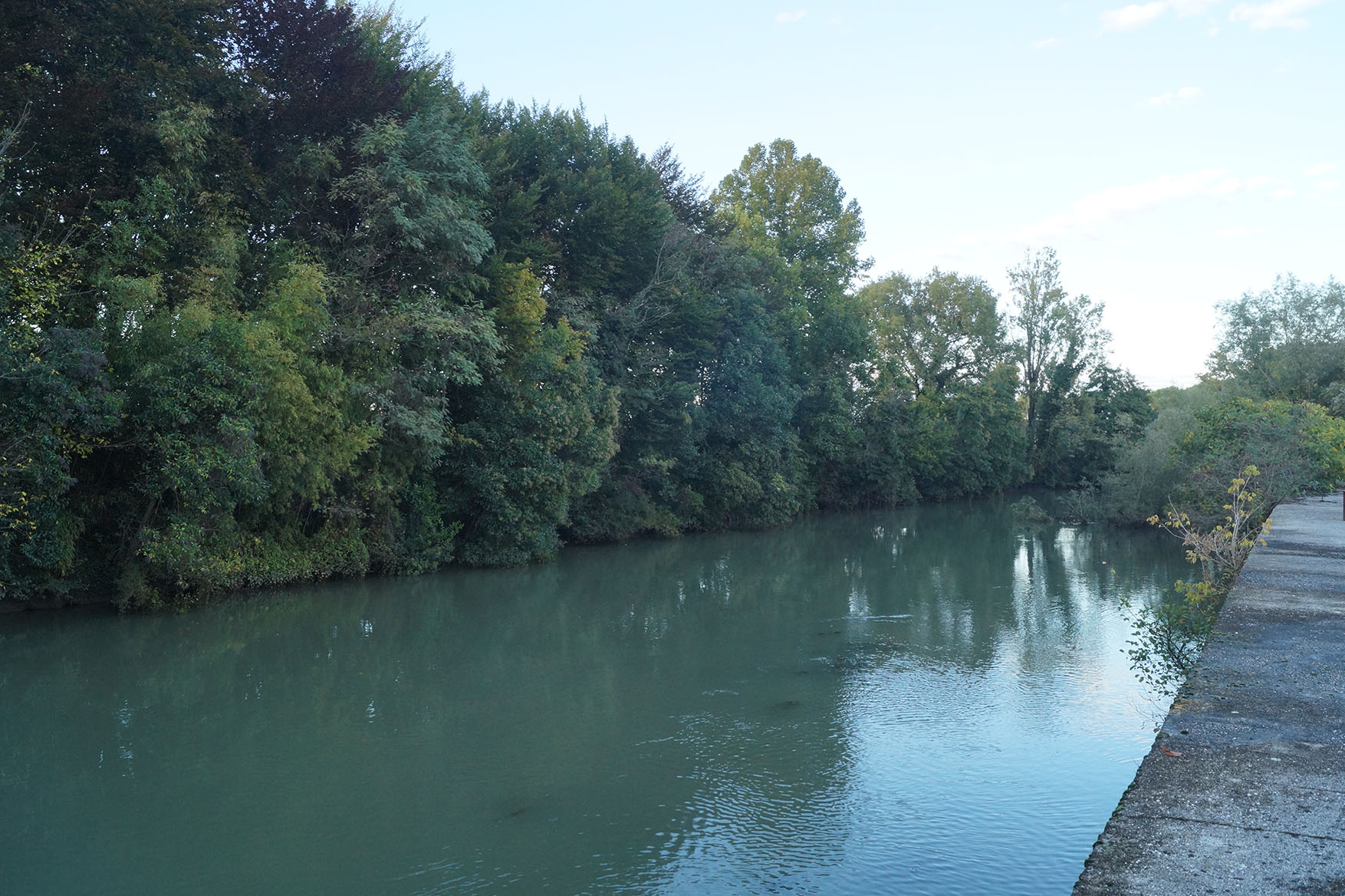 Read more about the article DNAPL to non-detect: Six orders-of-magnitude reduction of chlorinated solvents on a large-scale site