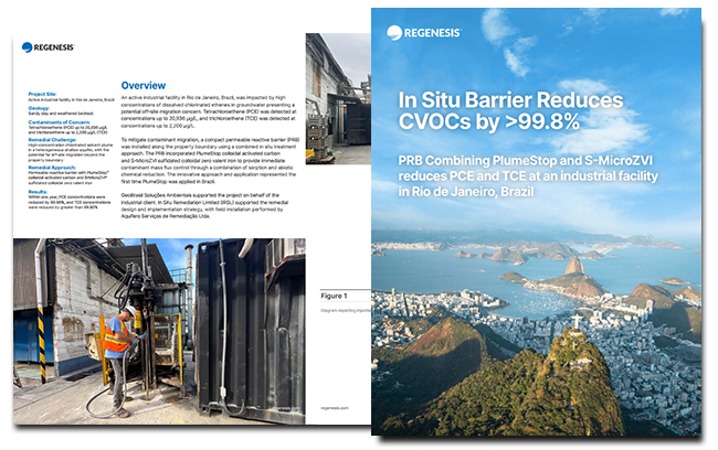 chlorinated solvent remediation Brazil
