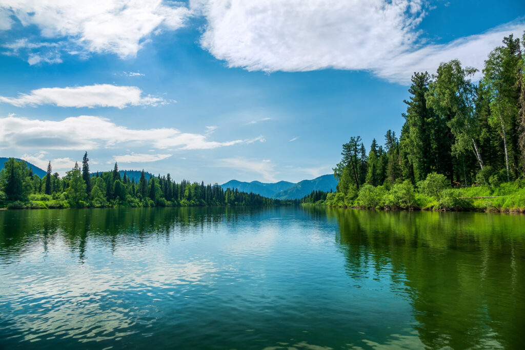 pfas environmental regulations webinar cover
