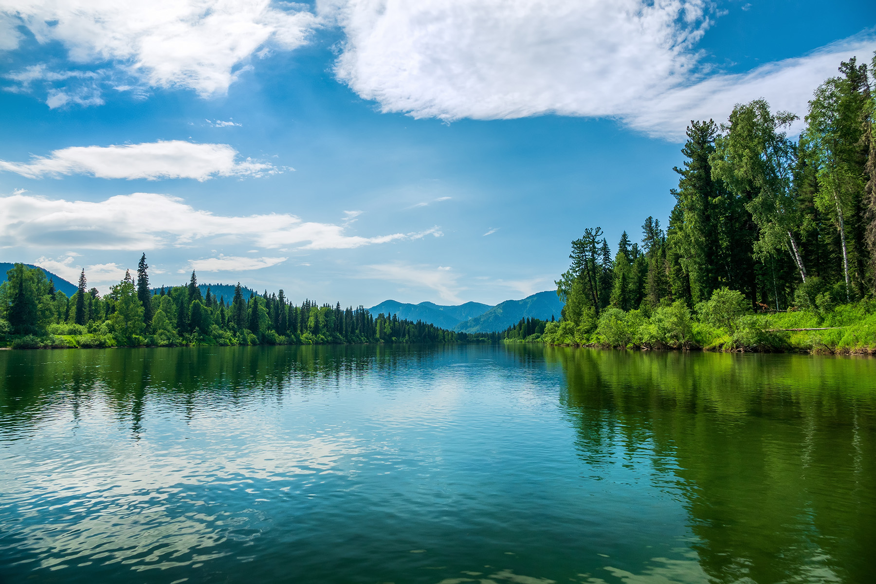 Read more about the article Navigating the Intersection of PFAS Regulations and Science