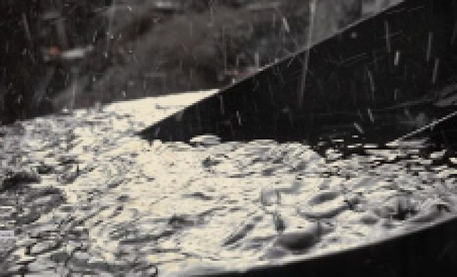 PFAS-Are-Everywhere.-Now-What