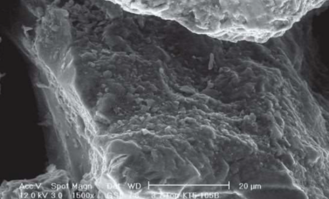 Screen-Shot-2022-04-20-at-8.09.02-AM-700x446