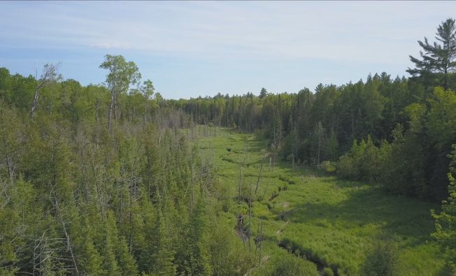 Camp Grayling PFAS remediation site
