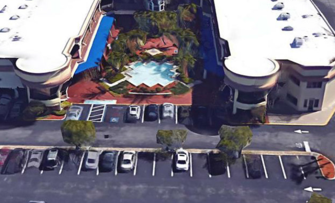 dolphin-case-study-header