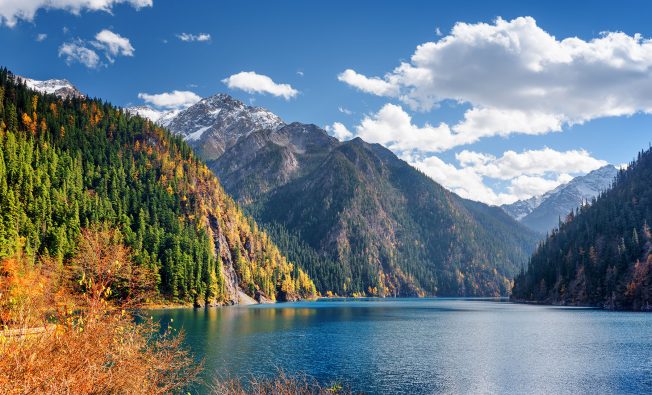webinar page cover image - PFAS Summer School: Your New ABCs of CERCLA, SDWA and US EPA