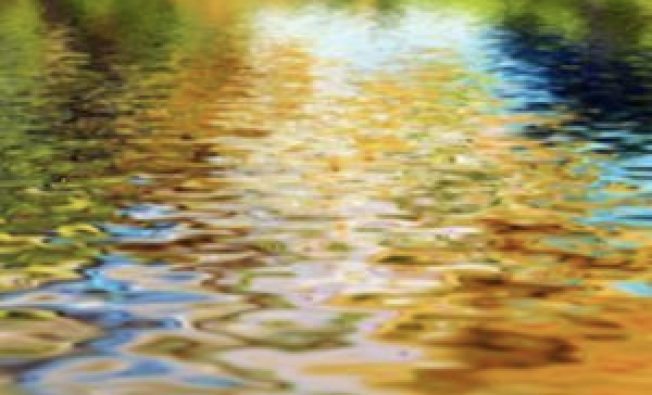 npdes-thumbnail-300x200