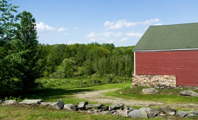 petrofix-website-case-study-image