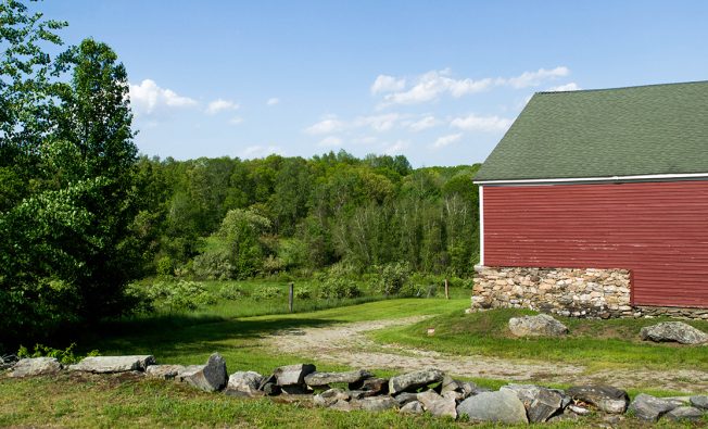residential fuel oil remediation site