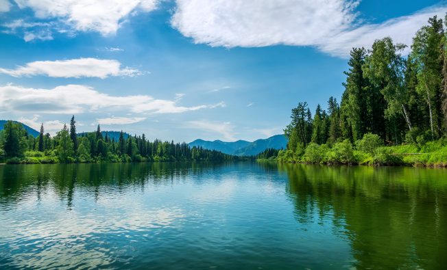 pfas environmental regulations webinar cover