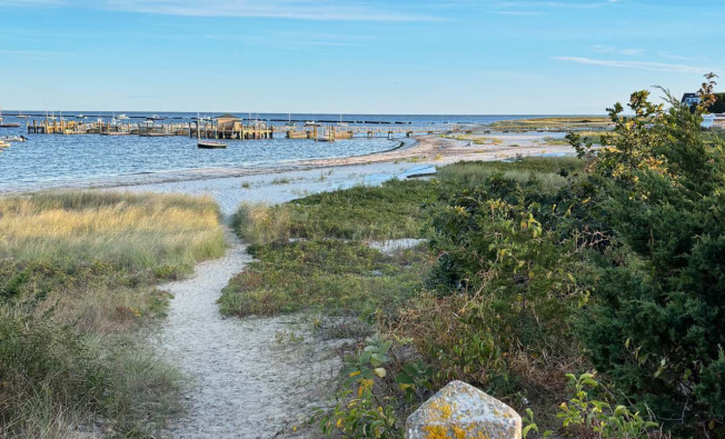 PFAS remediation case study
