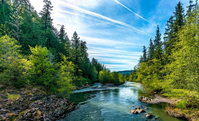 webinar page cover image - PFAS regulations over space and time