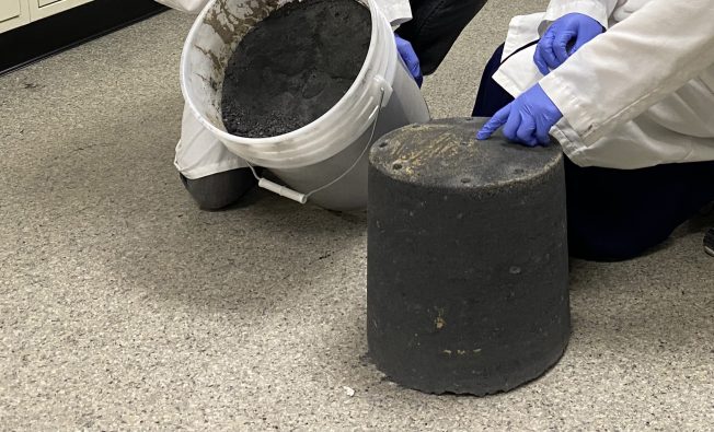 Stabilization of PFAS in soil
