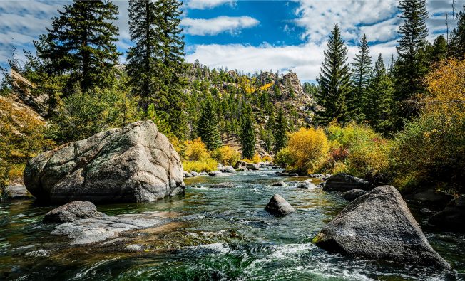 cover of webinar page - The need for sustainable PFAS remediation: A lifecycle study by Ramboll comparing the environmental impact of in-situ sequestration to pump and treat